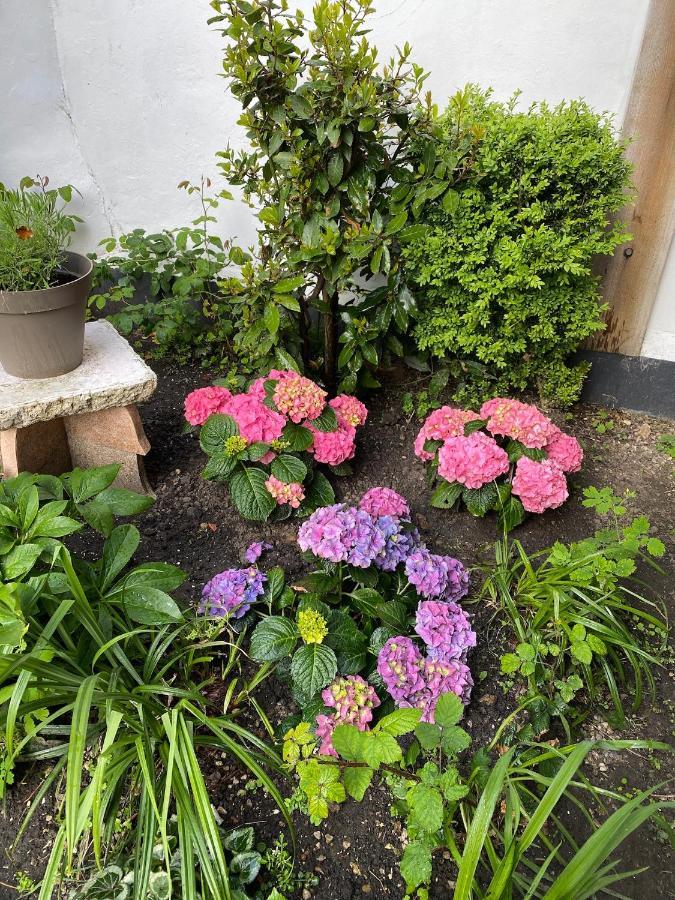 Appartement Vivier 4 Personnes Tout Confort Boulogne-sur-Mer Bagian luar foto